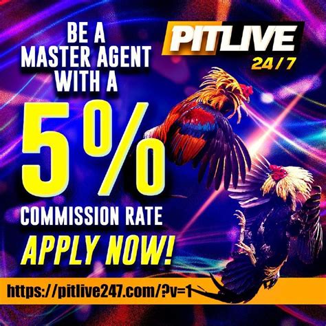 Pitlive24/7 .